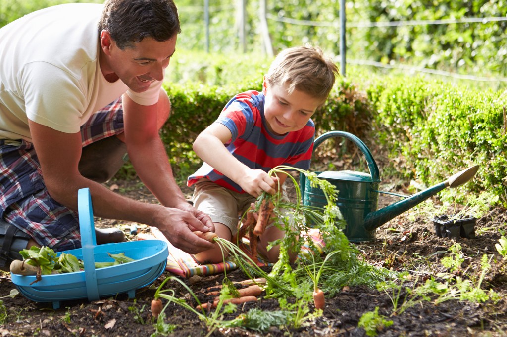 Gardening