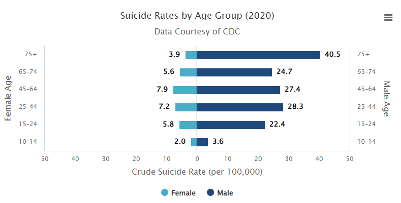 Suicide rates by age 2020