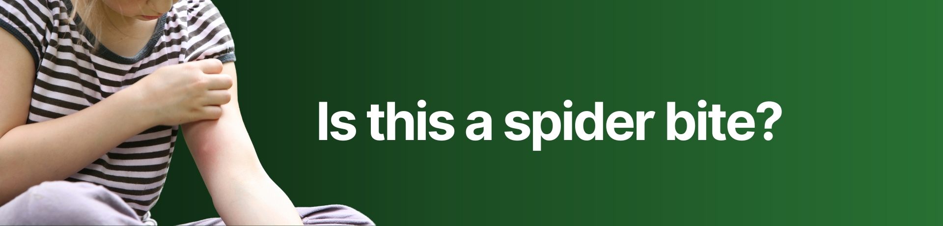 overlay text reads Do i have a spider bite?